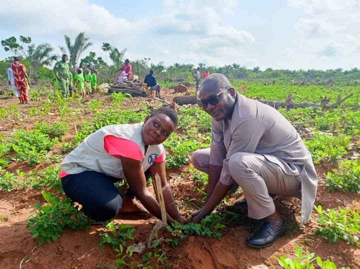 Djidja verdit son avenir : forte mobilisation autour de la Journée nationale de l’arbre 2025