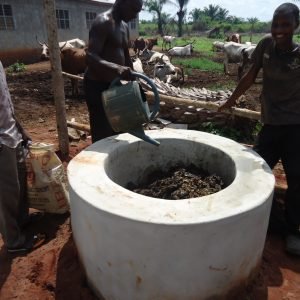 Promotion du Biogaz domestique pour la cuisson et l’éclairage dans l’Arrondissement de Ouèdo, Commune d’Abomey – Calavi