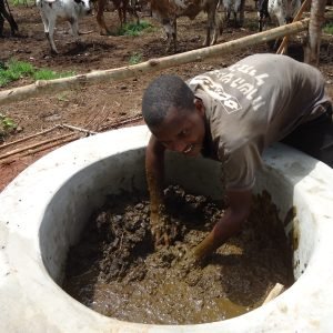 Promotion du biogaz amovible pour la cuisson et le maraîchage dans la commune de ZOGBODOMEY.