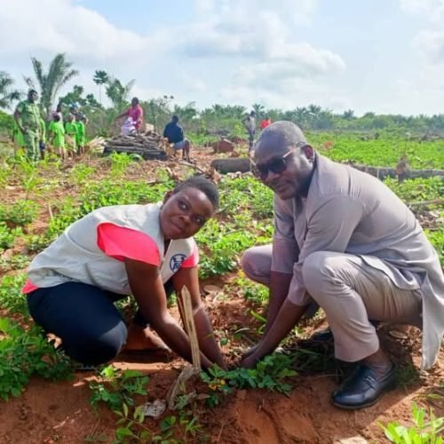 Djidja verdit son avenir : forte mobilisation autour de la Journée nationale de l’arbre 2026